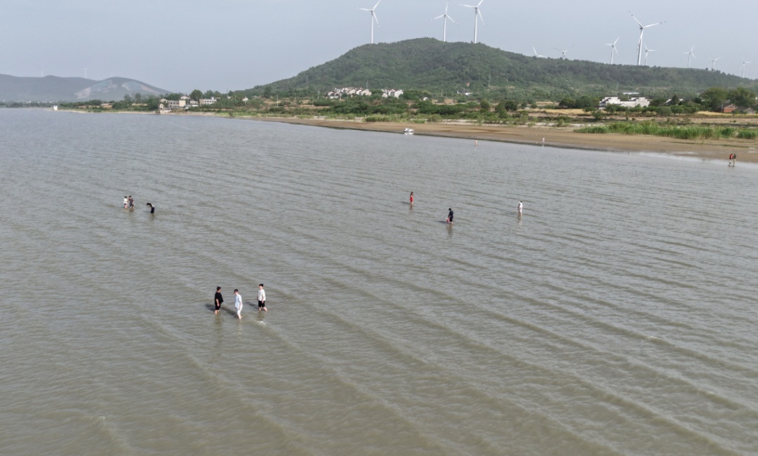 悄然走红！合肥有处天然沙滩！
