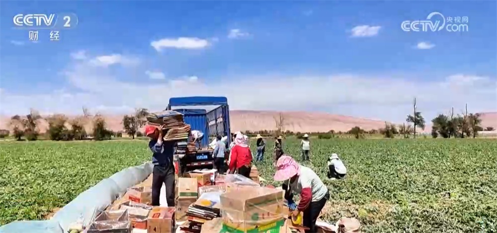 广袤田野向“智”而行绘就“科技兴农”新图景 好“丰”光传递新希望