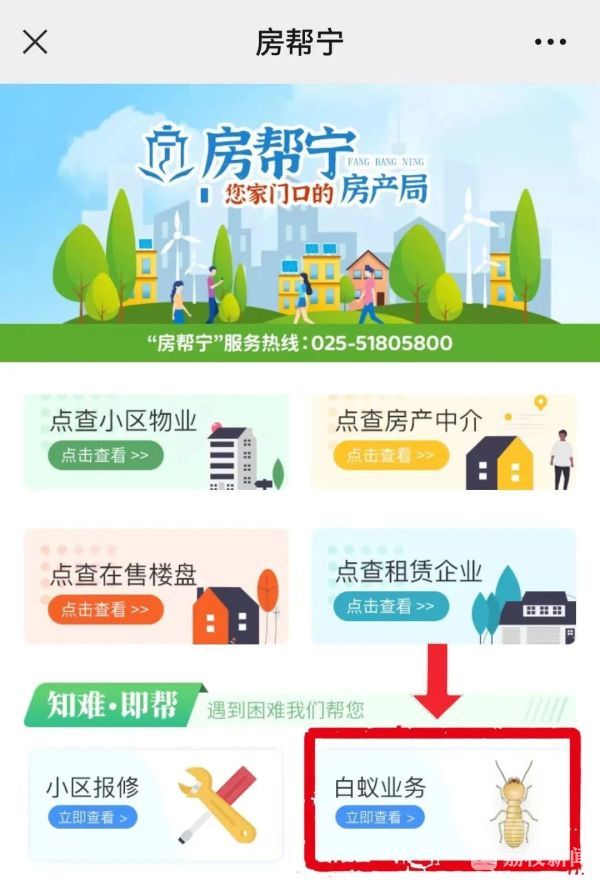 又到白蚁出没高峰期，这份应对指南请收好