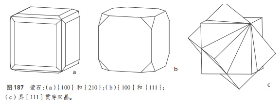 蝌学荐书丨什么是一眼“大开门”的宝石？