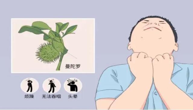60岁老汉自制药酒，竟然中了杨过中的情花毒