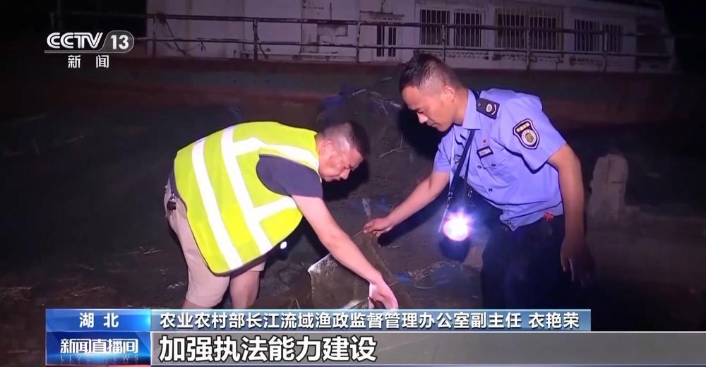 农业农村部：长江禁渔取得阶段性成效 水生生物多样性持续恢复