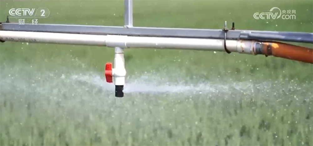 广袤田野向“智”而行绘就“科技兴农”新图景 好“丰”光传递新希望