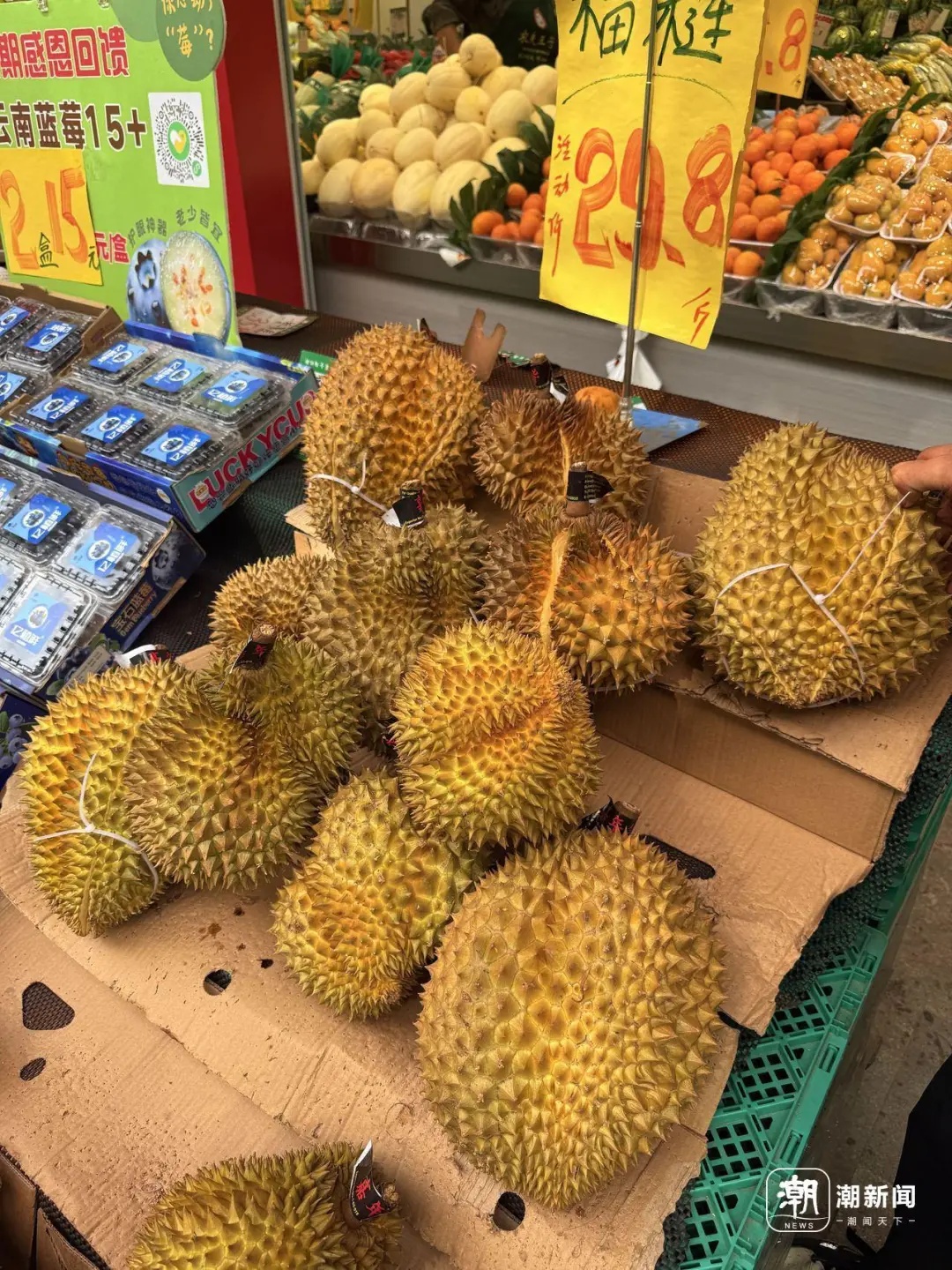 “贵到肉痛”！很多人爱吃，再忍一忍！即将大降价