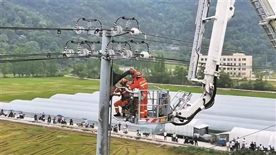 真悬！温州一男子爬电线杆掏鸟窝，遭遇电击倒挂在空中……