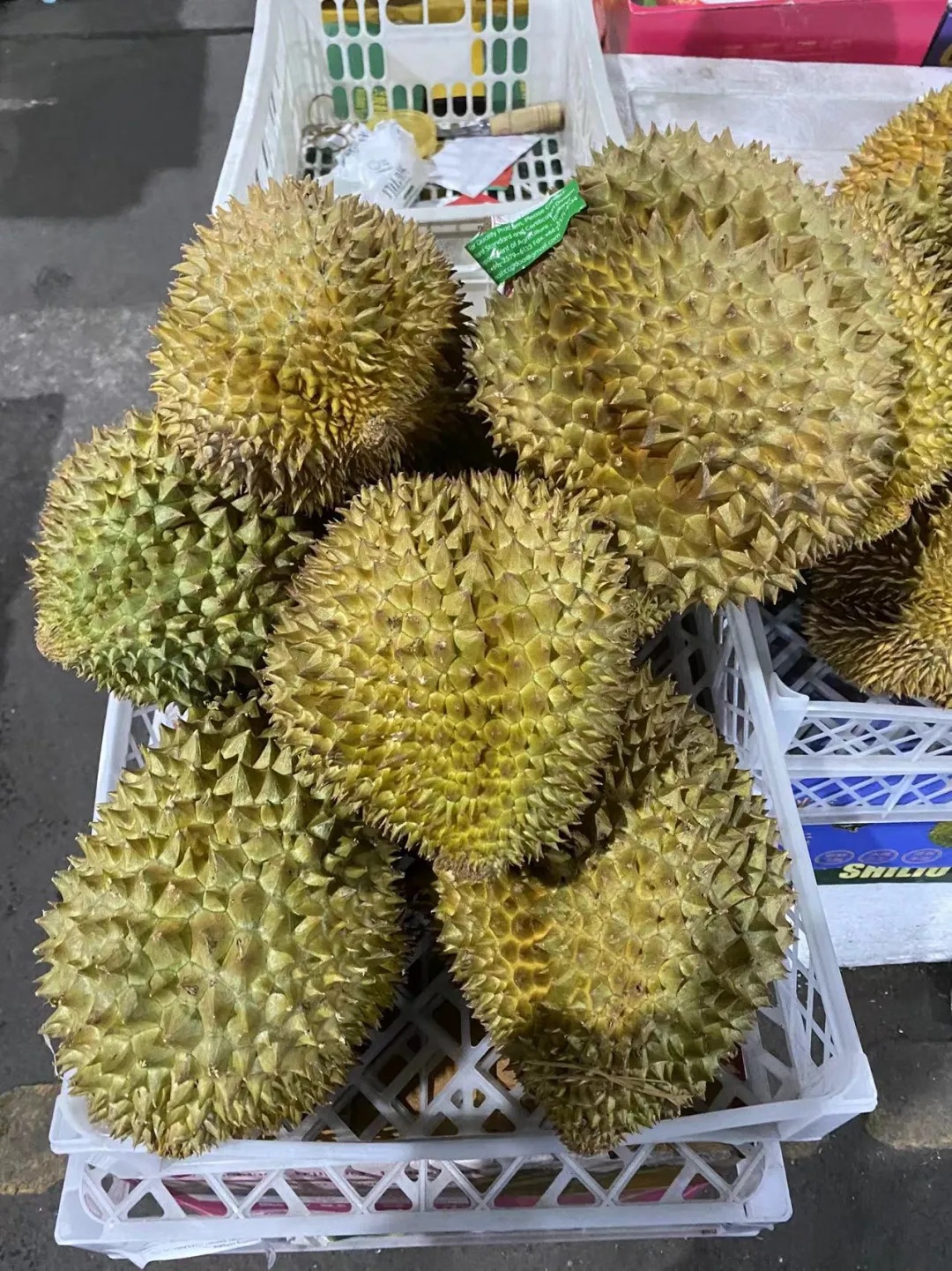 “贵到肉痛”！很多人爱吃，再忍一忍！即将大降价