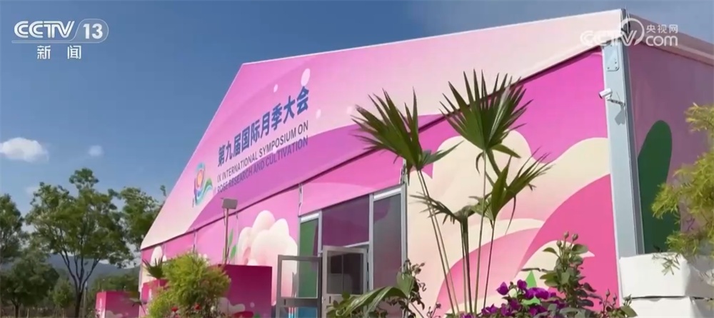 这个大会40年来首次落地中国 以花为“媒”打造“花young生活”消费新场景