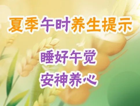 夏季食欲差、消化不良，怎么办？跟着中医十二时辰养生，安排→