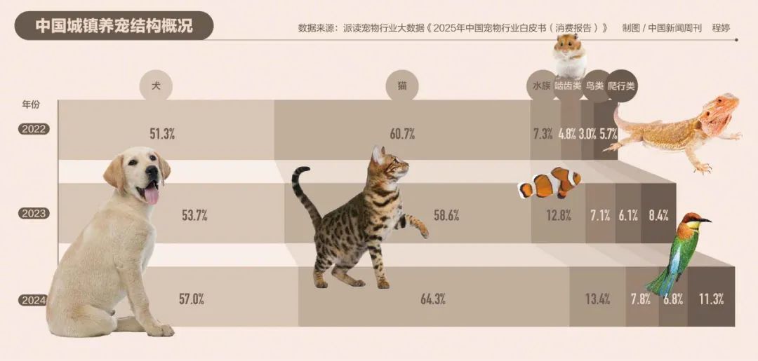 为何你买的宠物活不过7天？