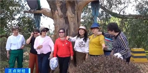 跨市、跨省追鸟去!银发族带火云南普洱“观鸟经济” 跨市、跨省追鸟去!银发族带火云南普洱“观鸟经济”