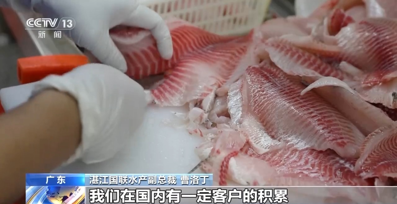 转内销观察丨从“标准化出口”到“定制化内需” 罗非鱼游出困境