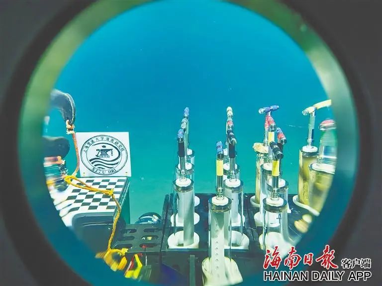 返航抵达三亚！深渊碳循环重大科考航次高效完成这些任务→