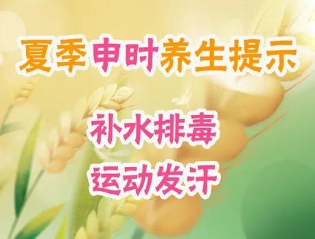 夏季食欲差、消化不良，怎么办？跟着中医十二时辰养生，安排→
