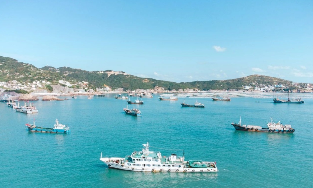 想看蓝色“荧光海”？浙江“追泪”攻略来了