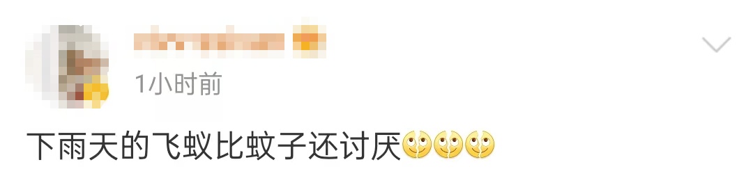 密密麻麻，广东大量出现！紧急提醒：赶紧关窗