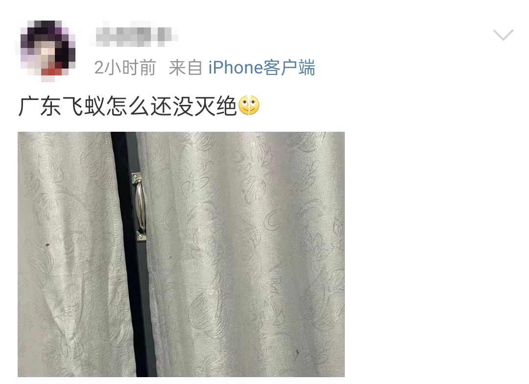 密密麻麻，广东大量出现！紧急提醒：赶紧关窗