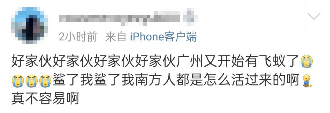 密密麻麻，广东大量出现！紧急提醒：赶紧关窗