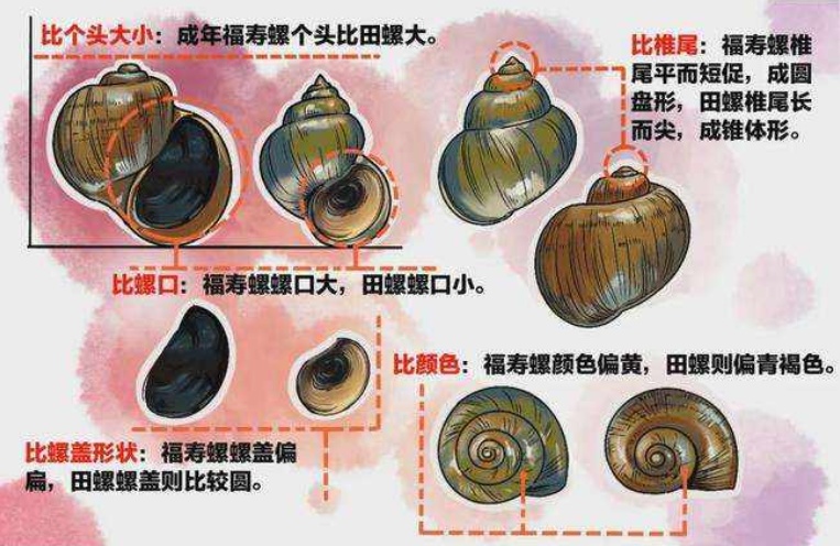 急性剧烈头痛！合肥疾控提示！
