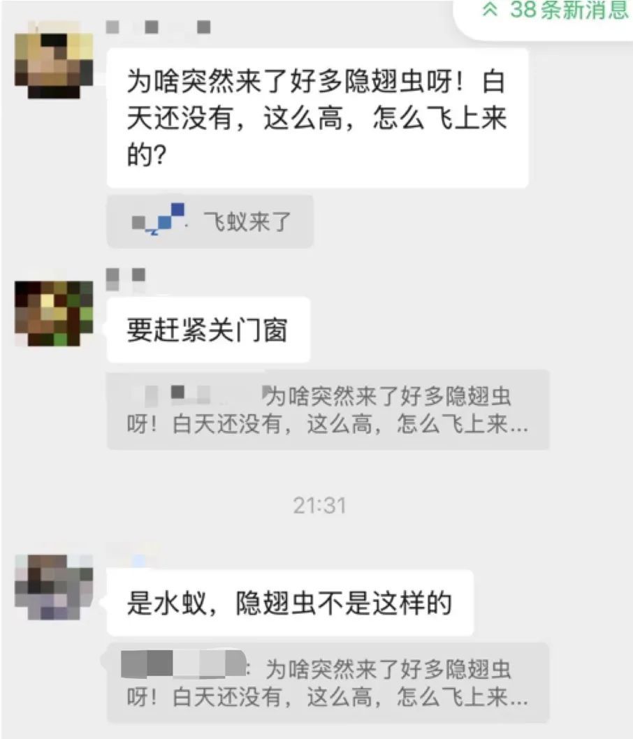 密密麻麻，广东大量出现！紧急提醒：赶紧关窗