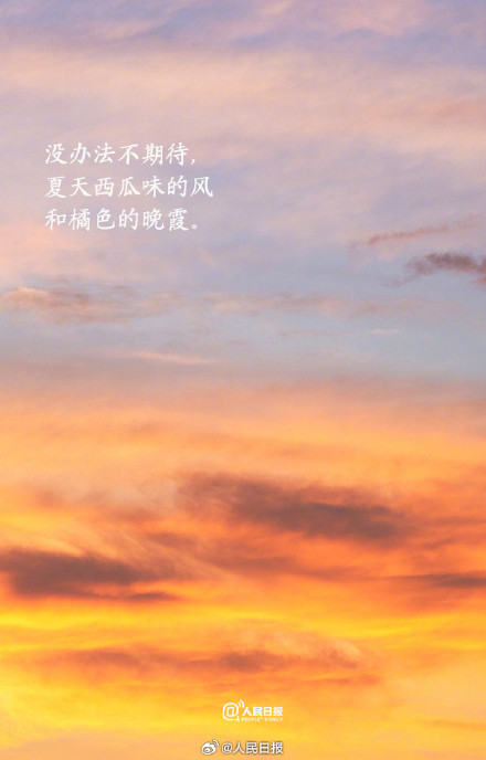 收藏！这组壁纸夏日氛围拉满