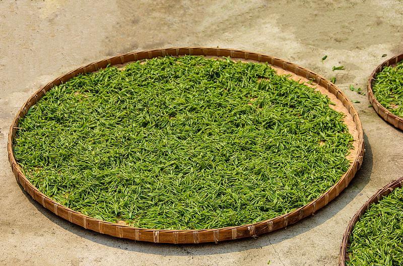 死亡风险降低13% 没想到喝茶还有这些功效