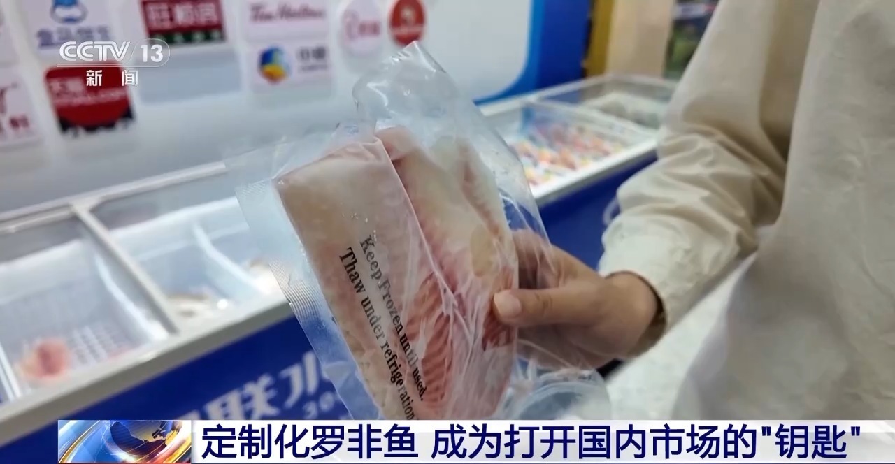 转内销观察丨从“标准化出口”到“定制化内需” 罗非鱼游出困境