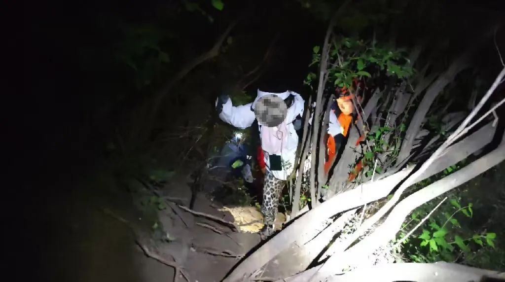一女子爬山走错路被困，北京门头沟消防开辟道路救援