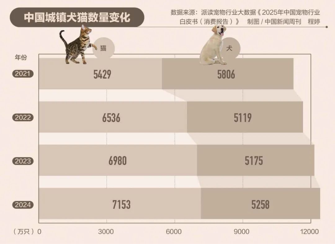 为何你买的宠物活不过7天？