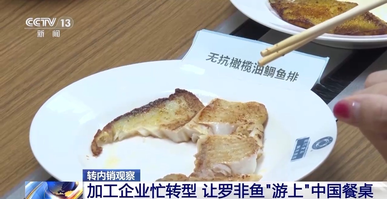 转内销观察丨从“标准化出口”到“定制化内需” 罗非鱼游出困境
