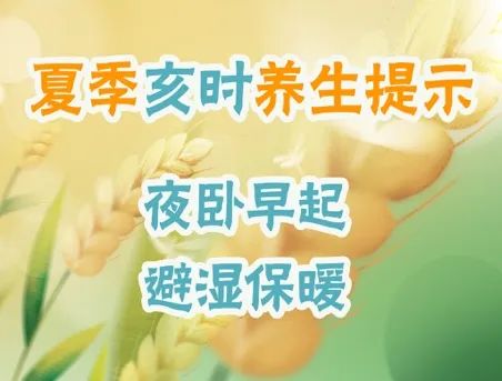 夏季食欲差、消化不良，怎么办？跟着中医十二时辰养生，安排→