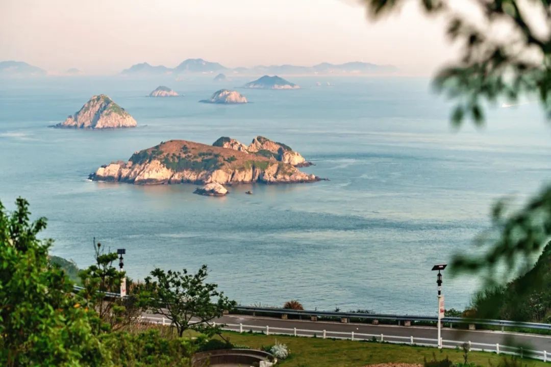想看蓝色“荧光海”？浙江“追泪”攻略来了