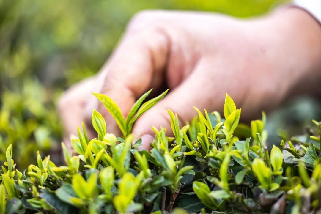 我国科学家，有新发现！