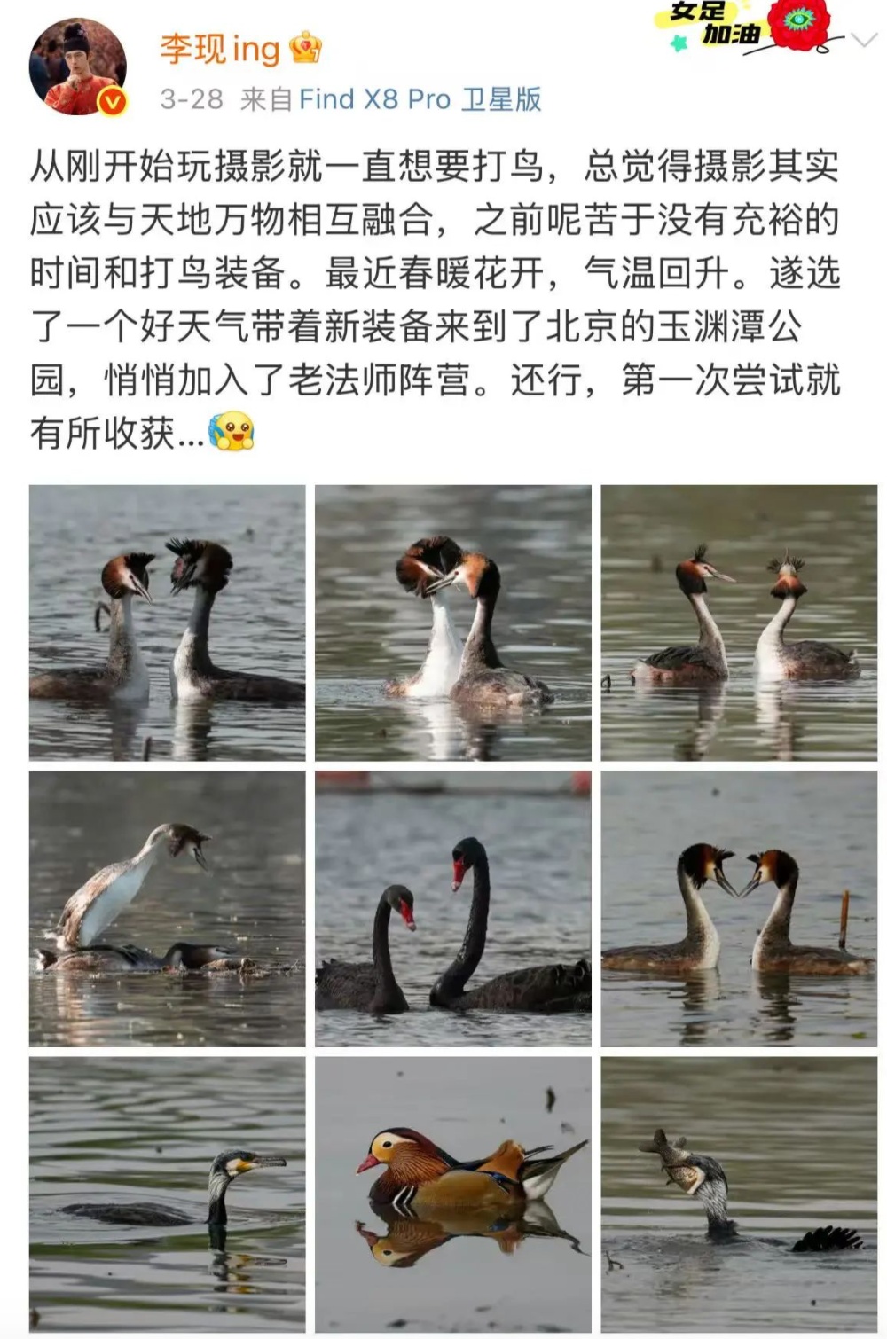 北京观鸟人可达2-3万！各路“李现们”催生“ 观鸟经济”