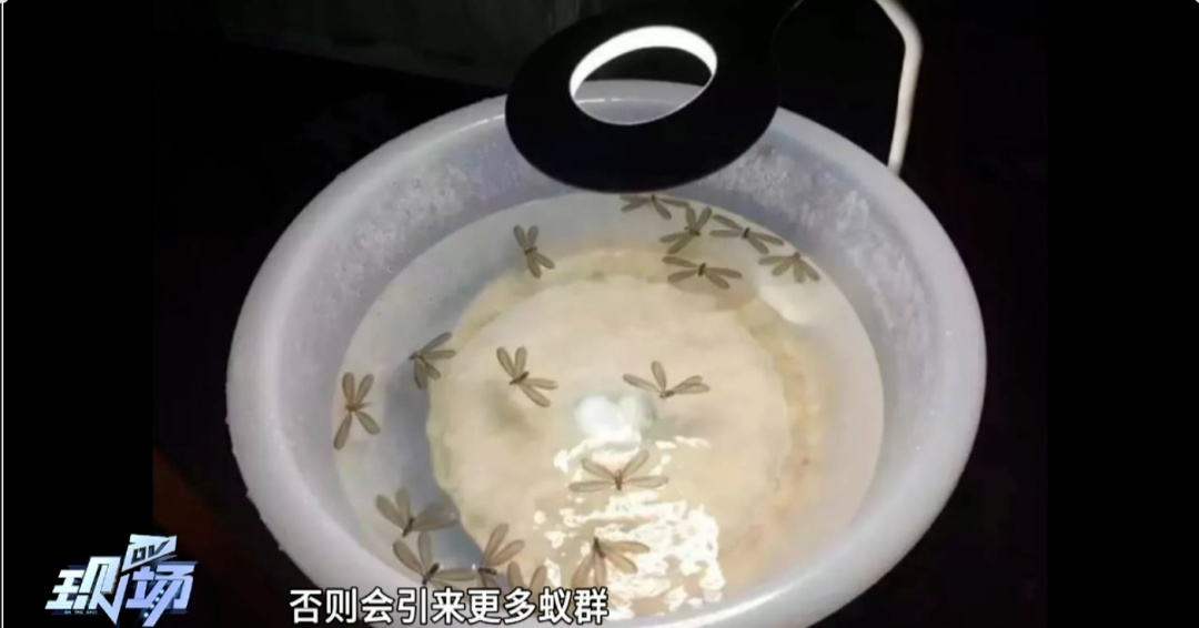 密密麻麻，广东大量出现！紧急提醒：关窗！关窗！！