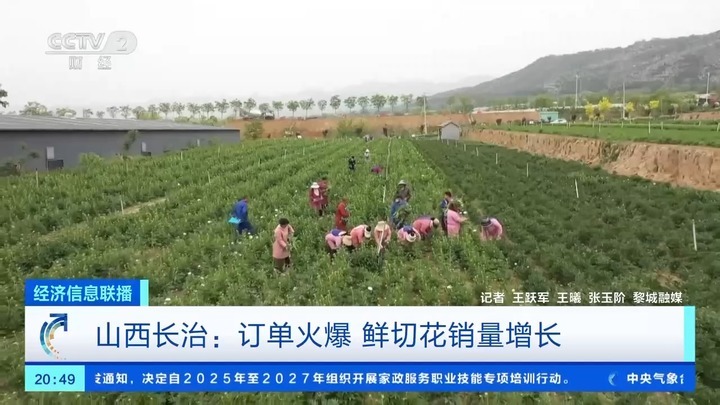 康乃馨、芍药热卖 母亲节多地鲜花销售火爆