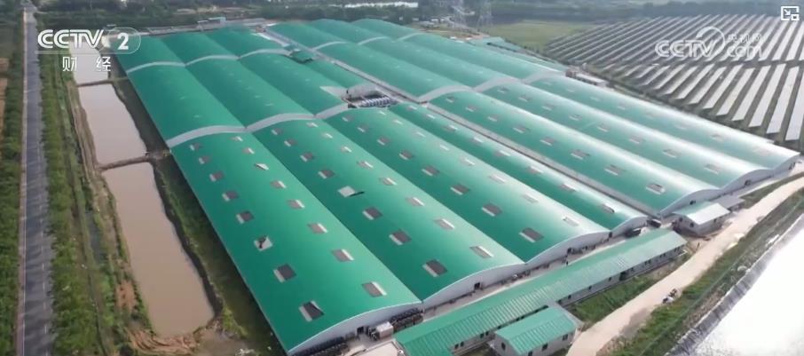 鲜活水产品直通国际市场 特色养殖带动就业增收