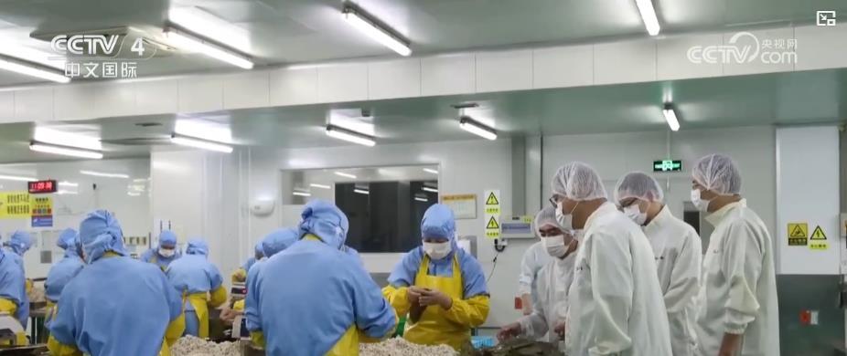 从农田到餐桌：全链条治理食品添加剂，守护舌尖上的安全