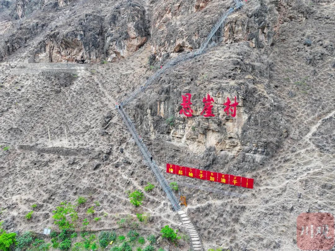 五年，他们走下悬崖，现在怎么样了？