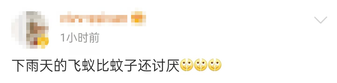 密密麻麻，广东大量出现！紧急提醒：关窗！关窗！！