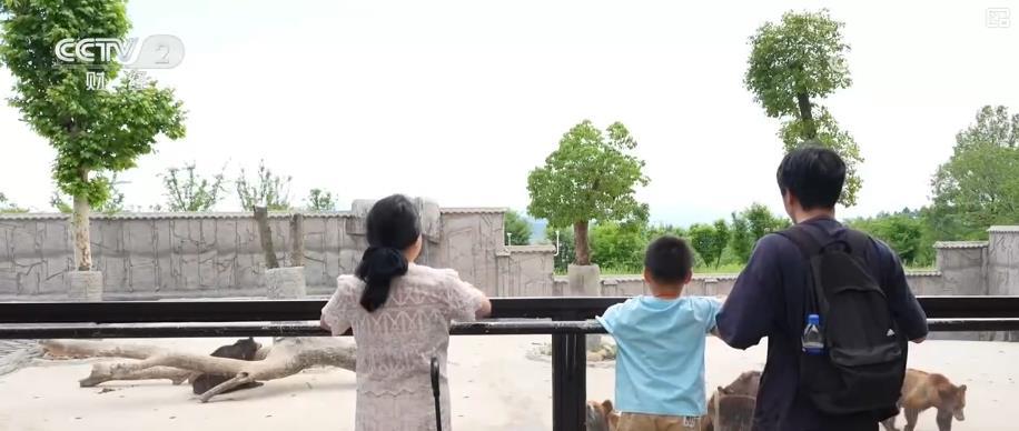 高铁赋能、场景焕新：文旅消费新活力加速释放