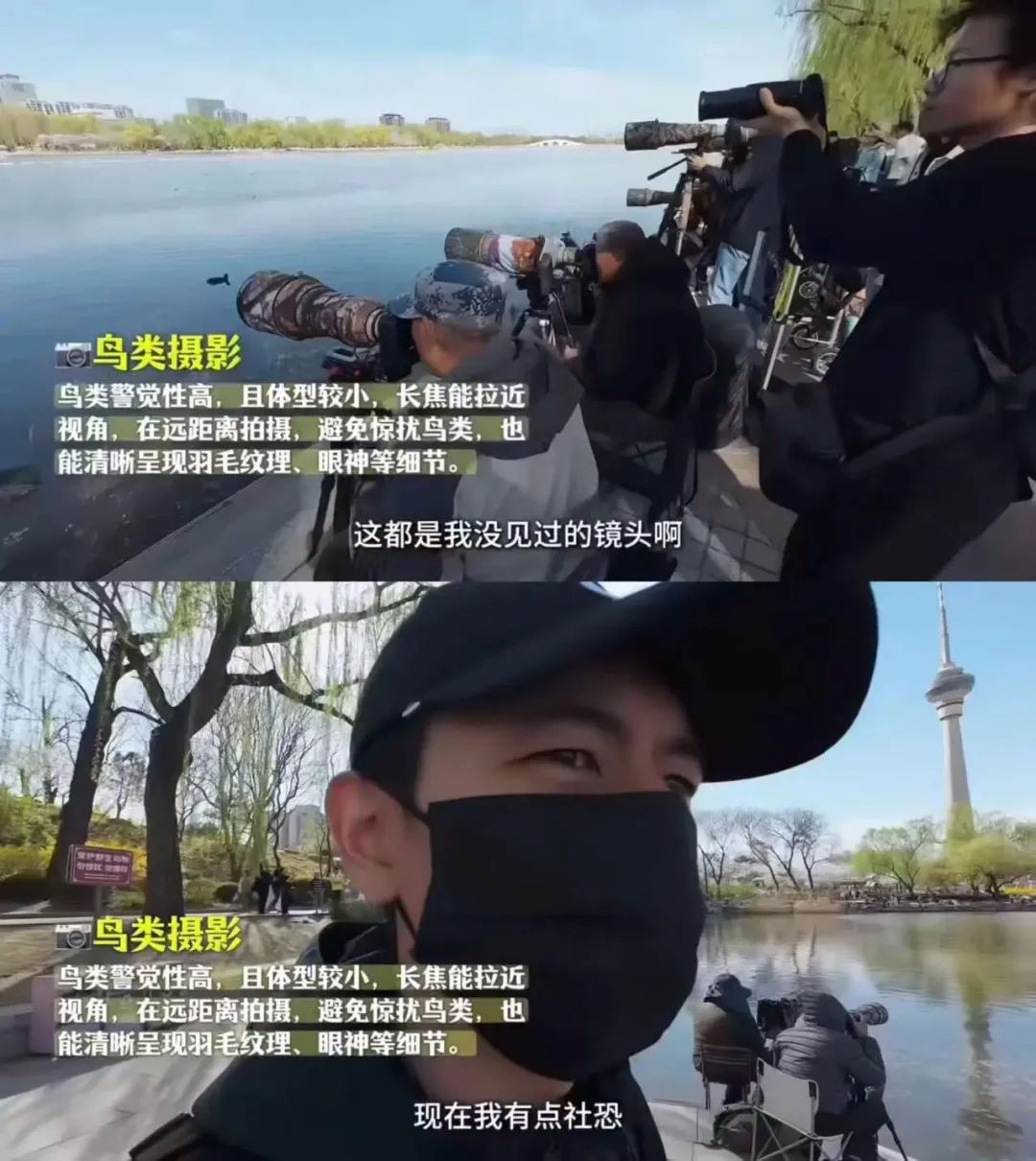 北京观鸟人可达2-3万！各路“李现们”催生“ 观鸟经济”