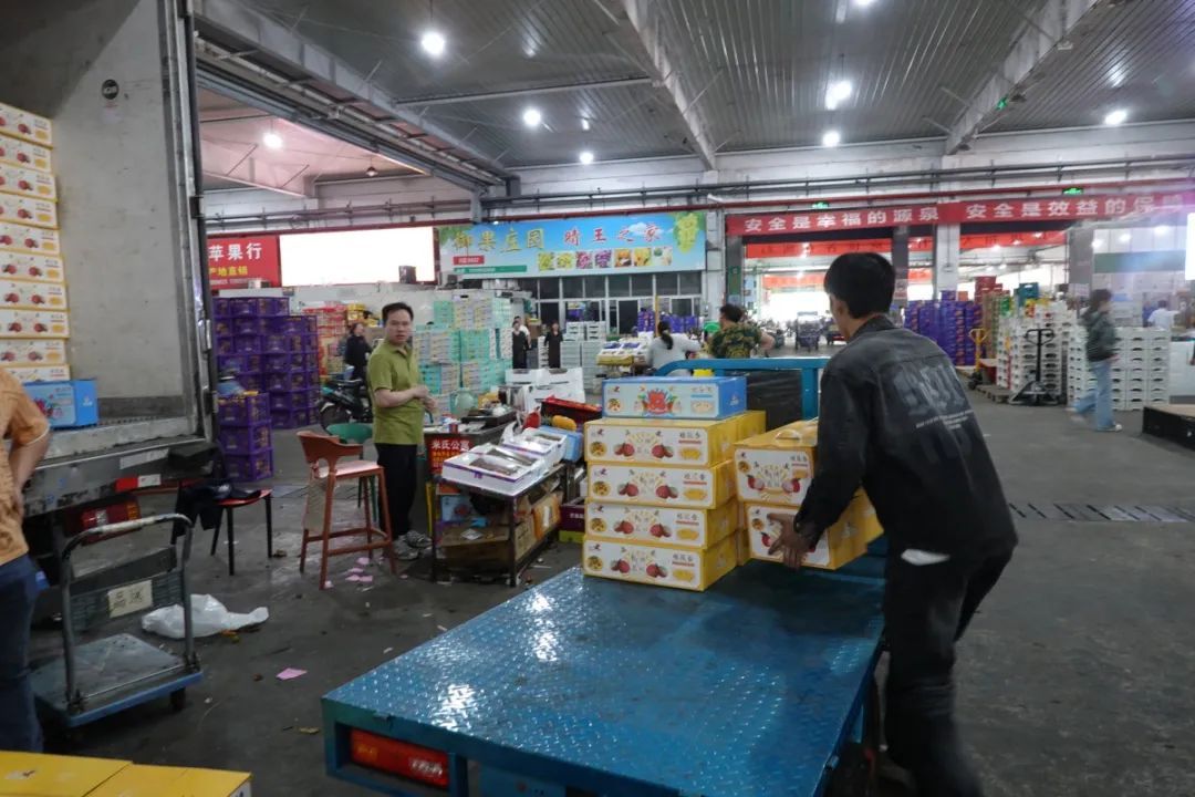 价格大跳水！暴跌40%…"预计下周起一天一个价"