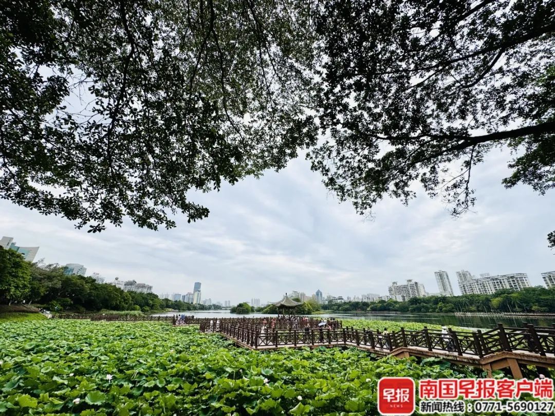 抓紧洗晒！广西新一轮强降雨在路上了