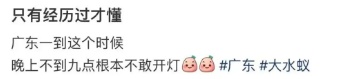 近期广东有大水蚁成群出现，专家提醒→
