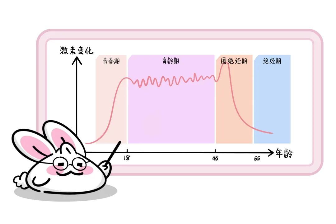 医聊丨从少女到银发，雌激素如何默默守护女性的一生？