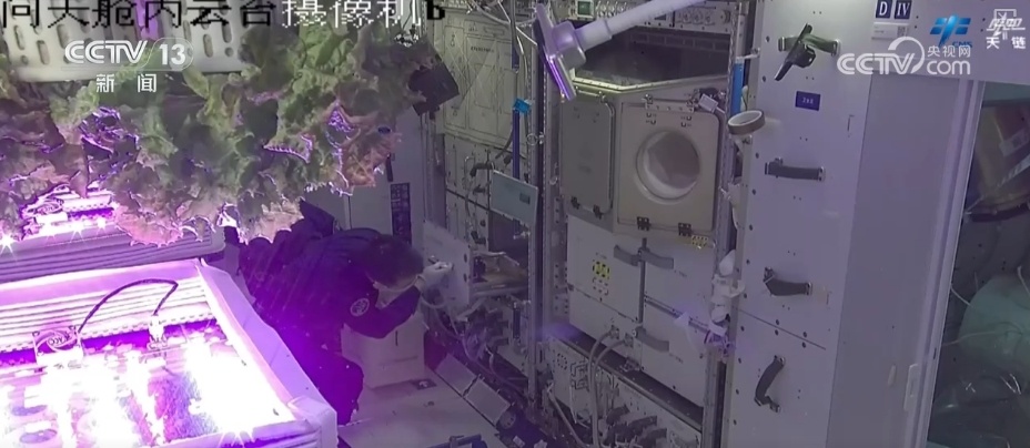 添置新防护→医疗救护→科学实（试）验…… | 神二十乘组工作周记亮点多