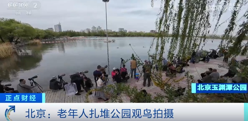 太火了，暴涨超100%！34万人“入圈”
