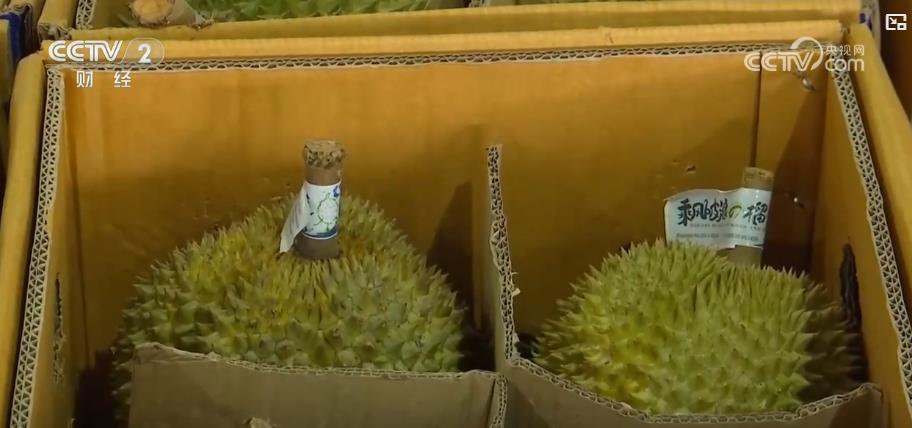 物流升级助推进口水果贸易：东南亚水果更快更新鲜