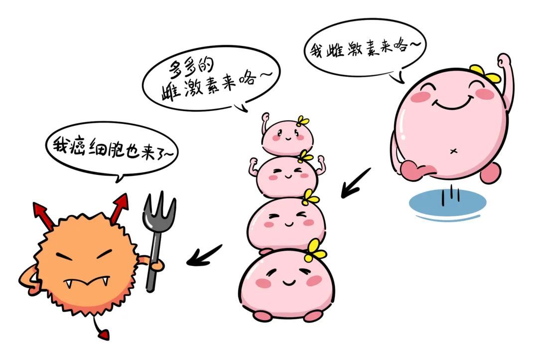 医聊丨从少女到银发，雌激素如何默默守护女性的一生？
