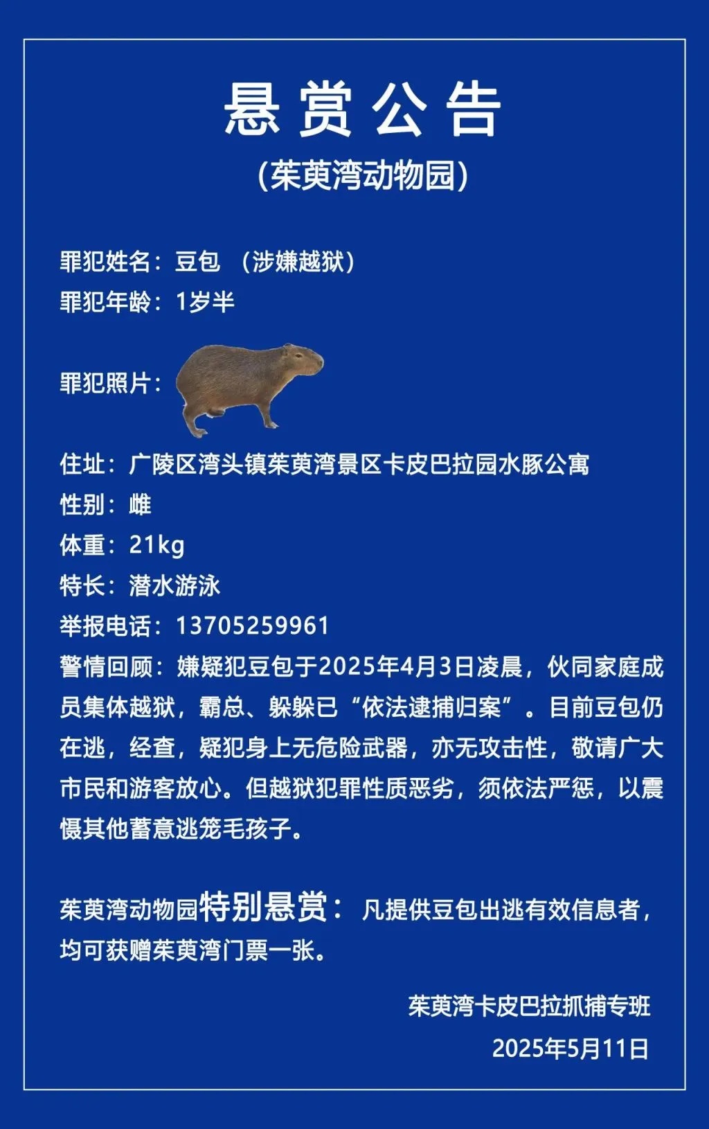 卡皮巴拉集体越狱！“豆包”仍在逃，“霸总”“躲躲”已被捕，扬州一景区悬赏